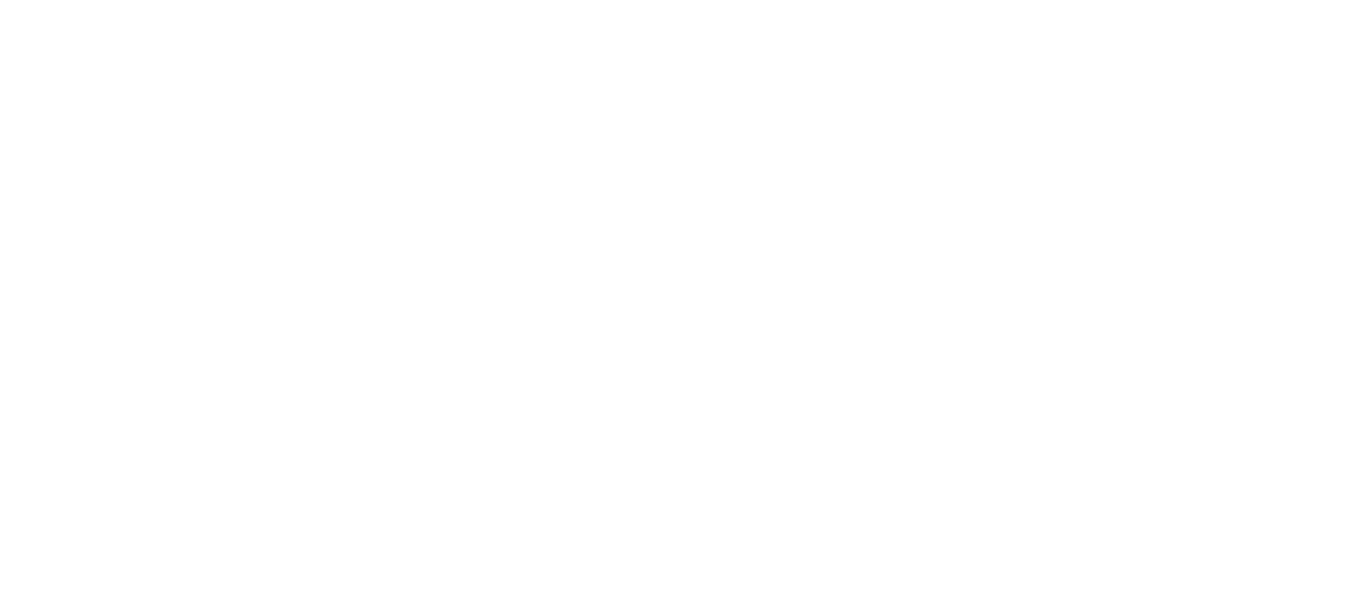 SKIDATA